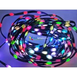 Digital RGB Seed Pixel String Light, 5/12V, IP67, String of 1,000 Pixels