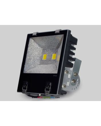 100 Watt Outdoor LED Flood Light Fixture
