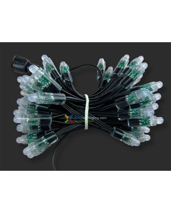 12mm Addressable RGB Bullet LED Pixels, 5/12V,  WS2811/WS2801/GS8208, String of 50/100