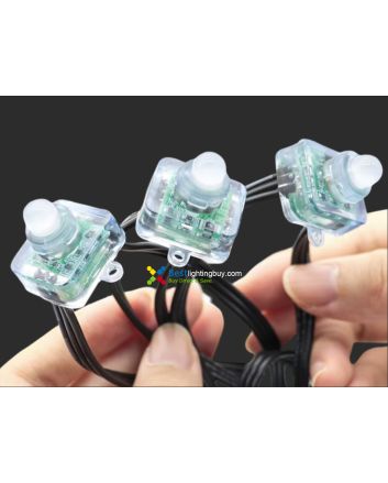 12mm Addressable RGB Lay-Flat LED Pixels, 5/12V, WS2811/WS2801/GS8208, String of 50/100