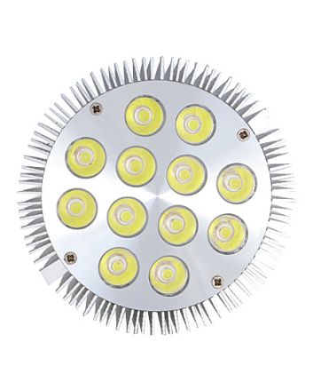 12x1 Watt PAR38 E27 LED Light, 80 Watt Halogen Bulb Replacement