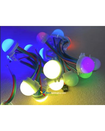 30mm Programmable LED RGB Amusement Lighting Modules, WS2801/UCS1903/DMX, 12V, String of 20