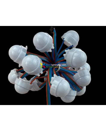 30mm Programmable LED RGB Amusement Lighting Modules, WS2801/UCS1903/DMX, 12V, String of 20
