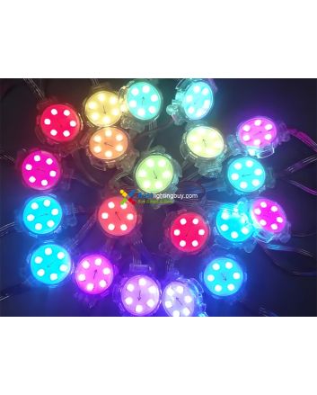 30mm UCS2904 Programmable LED RGBW Amusement Lighting Modules, 24V, String of 20