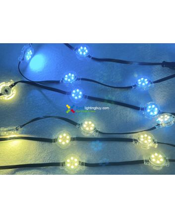 30mm WS2811 Programmable LED RGB Amusement Lighting Modules, 24V, String of 20