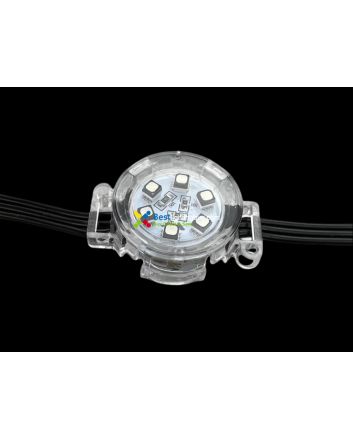 30mm WS2811 Programmable LED RGB Amusement Lighting Modules, 24V, String of 20