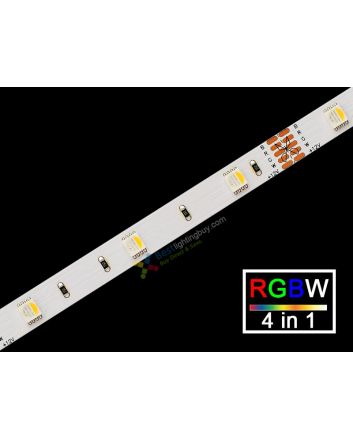 4-in-1 (Quad Chip) RGBW Flexible LED Strip, 30 LED/M, 12V, 5M/Reel 