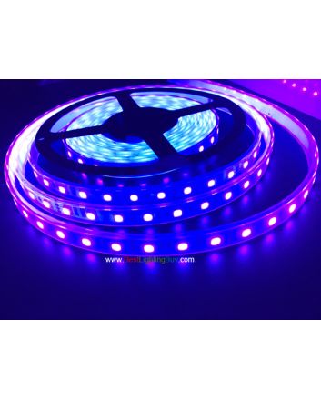 400-405nm Ultraviolet SMD5050 Flexible LED Strip, 60LEDs/M, 12VDC