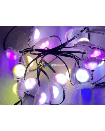 40mm UCS2904 Programmable LED RGBW Amusement Lighting Modules, 24V, String of 20