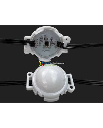 40mm UCS2904 Programmable LED RGBW Amusement Lighting Modules, 24V, String of 20