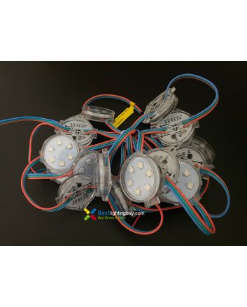 40mm WS2811 Programmable LED RGB Amusement Lighting Modules, 12V, String of 20