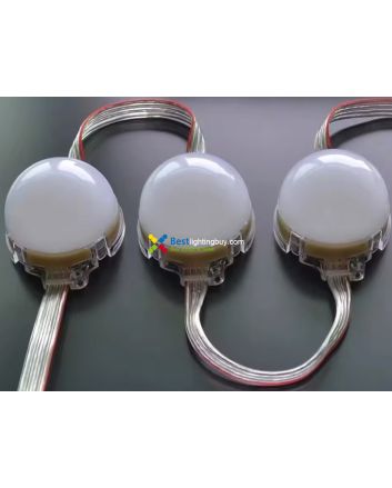 50mm GS8206 Programmable LED RGB Amusement Lighting Modules, 24V, String of 20