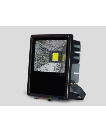 50W High Power Outdoor LED Floodlight Fixture