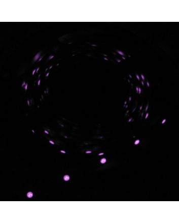 850nm InfraRed SMD5050 LED Flexible Strip, 60 LEDs/m, 5m, 12VDC