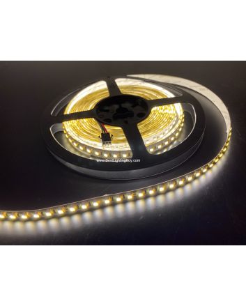 Dual Chip SMD 3528 White Adjustable LED Strip, 120 LED/m, 12/24VDC