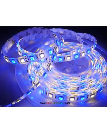 RGB + White 5050 SMD Flexible LED Strip Light, 60 LED/M, 24V DC, 5m