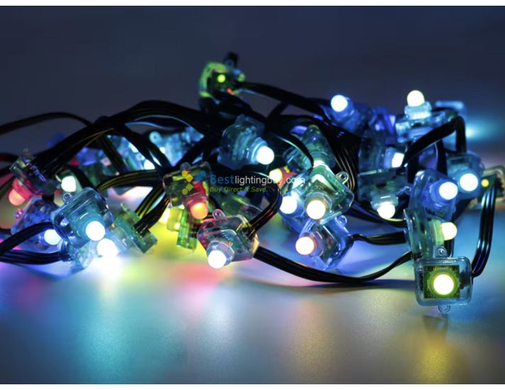 12mm Addressable RGB Lay-Flat LED Pixels, 5/12V, WS2811/WS2801/GS8208, String of 50/100